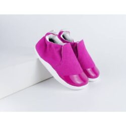 BOBUX PWEBDET 501703 RaspberryScamp 6 1