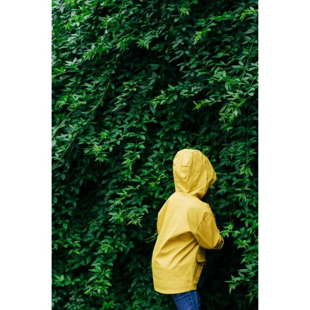 מעיל W10254-008 איגור IGOR חרדל