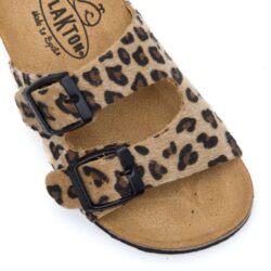 מנומר שעם פלקטון