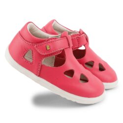 732422 SU ZAP II פוקסיה