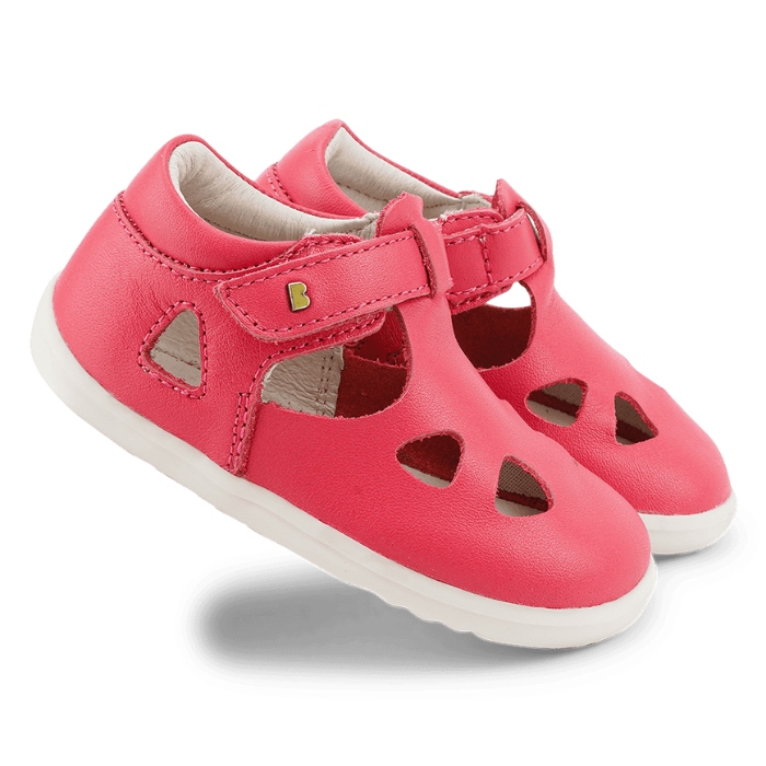 732422 SU ZAP II פוקסיה