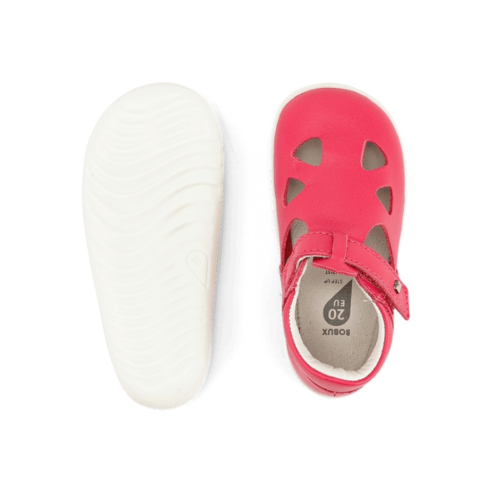 732422 SU ZAP II פוקסיה