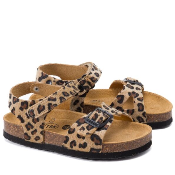 136231 אנימל פלקטןו אבזם שחור