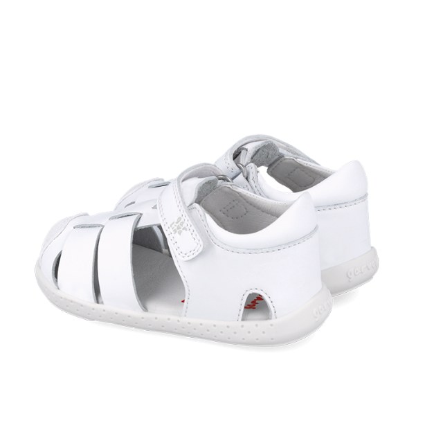 252326 E050 צעד ראשון ושני ברפוט