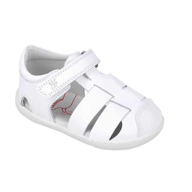 252326 E050 צעד ראשון ושני ברפוט