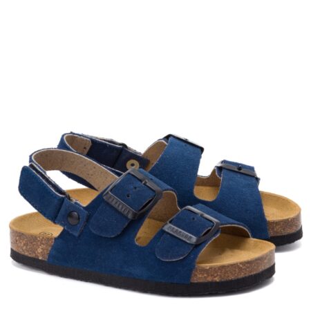 126288 פלקטון כחול