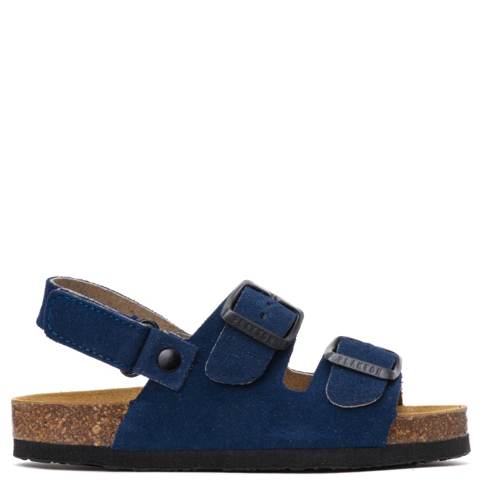 126288 פלקטון כחול