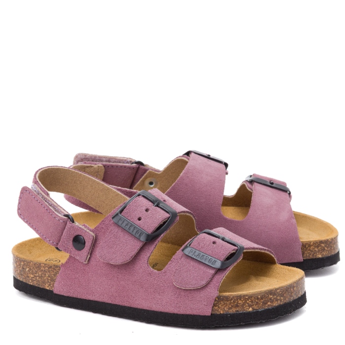 126288 פלקטון לילך שעם