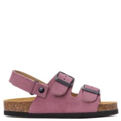 126288 פלקטון לילך שעם