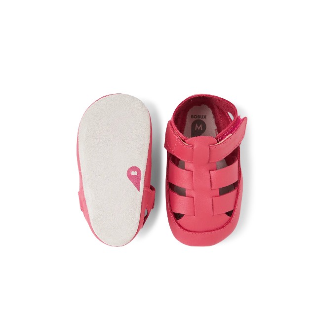 1224-184-98 טרום הליכה בובוקס