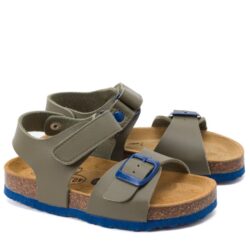 126264פלקטון ירוק אבזם כחול