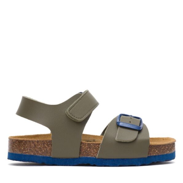 126264פלקטון ירוק אבזם כחול