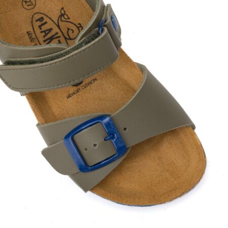 126264פלקטון ירוק אבזם כחול