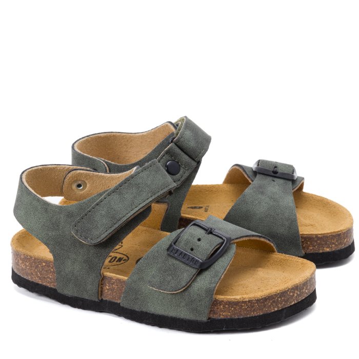 126264 ירוק קרוזו פלקטון