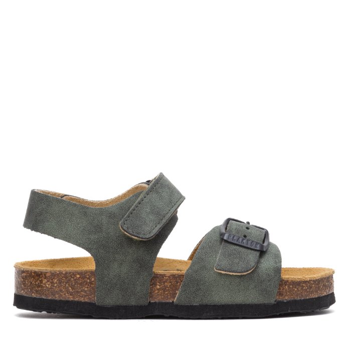 126264 ירוק קרוזו פלקטון