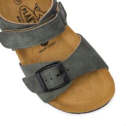 126264 ירוק קרוזו פלקטון