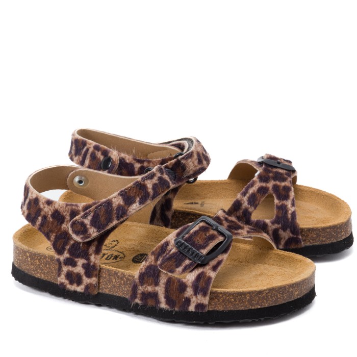 126264 מנומר פלקטון