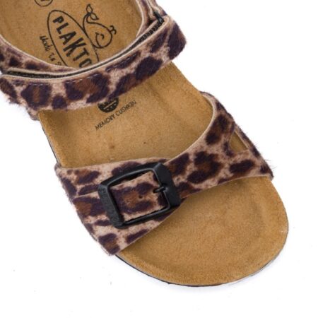 126264 מנומר פלקטון