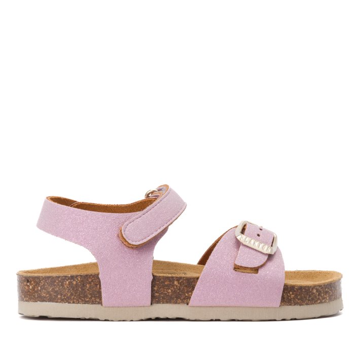 136231 פלקטון לימוס רוזה 05